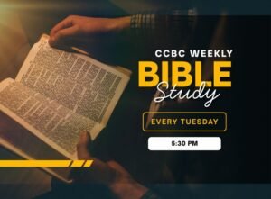 Weekly Bible Study
