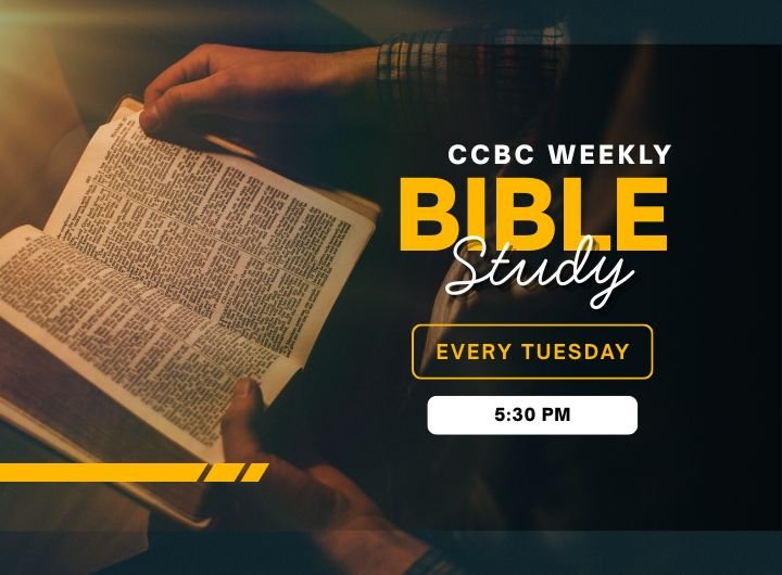 Weekly Bible Study